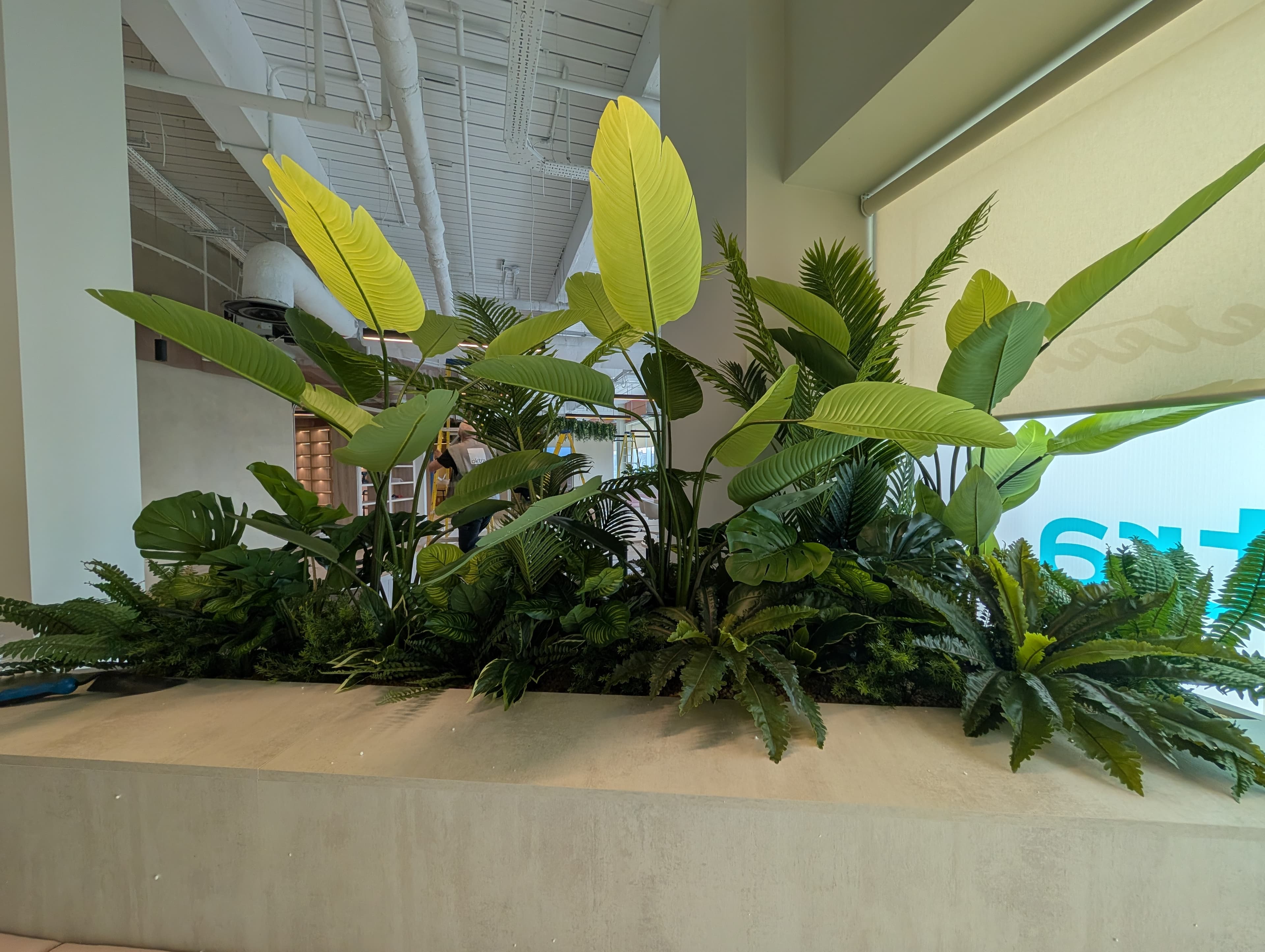 Interior Plant Displays by Plant Pro