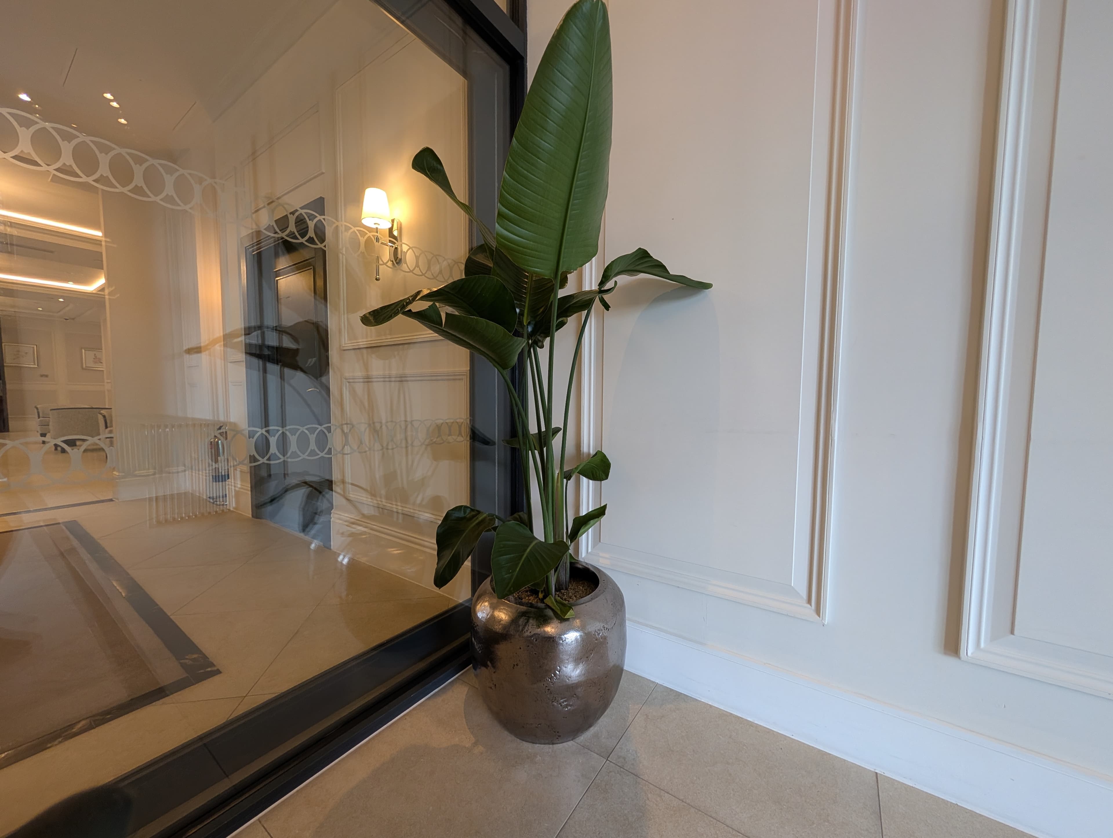Rental & Purchase Options by Plant Pro